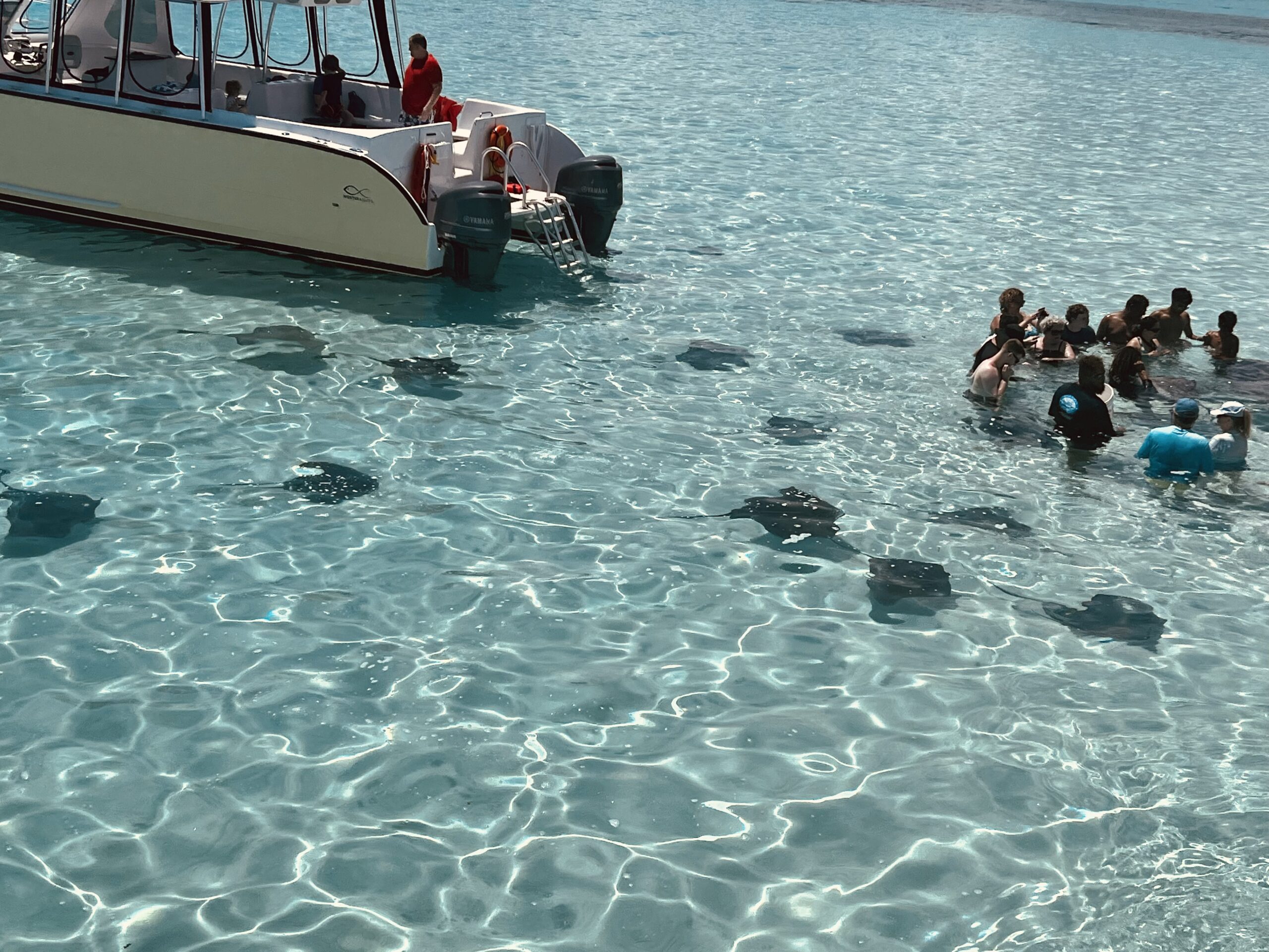 Picture of people swimming with the stingrays in Grand Cayman
