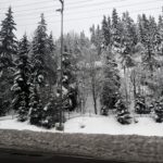 IMG_6535